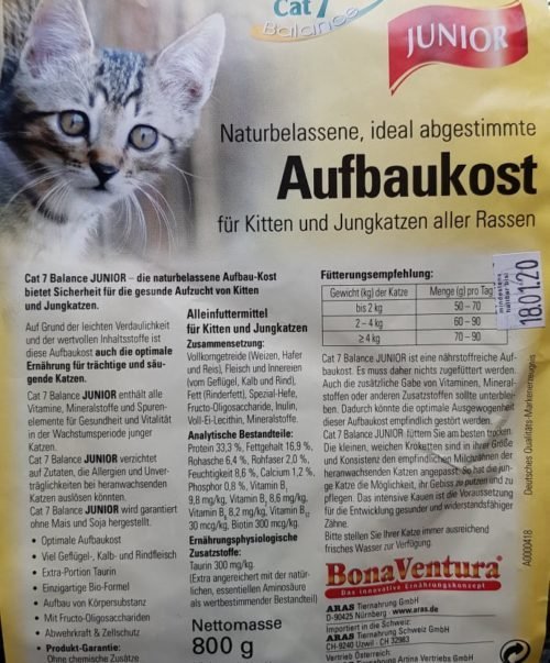 Cat junior